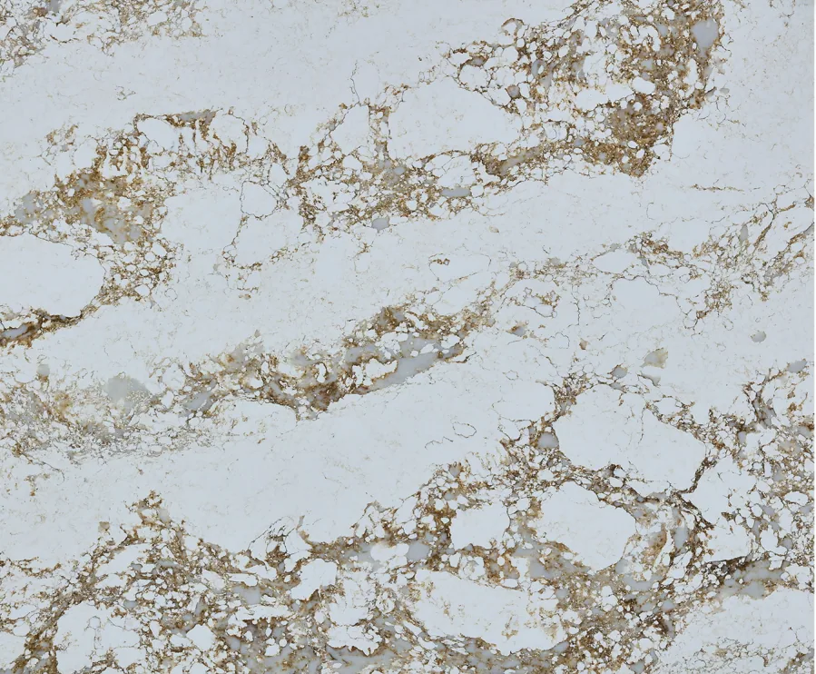Warm Ivory Cloud RY8010 in Warm ivory and beige